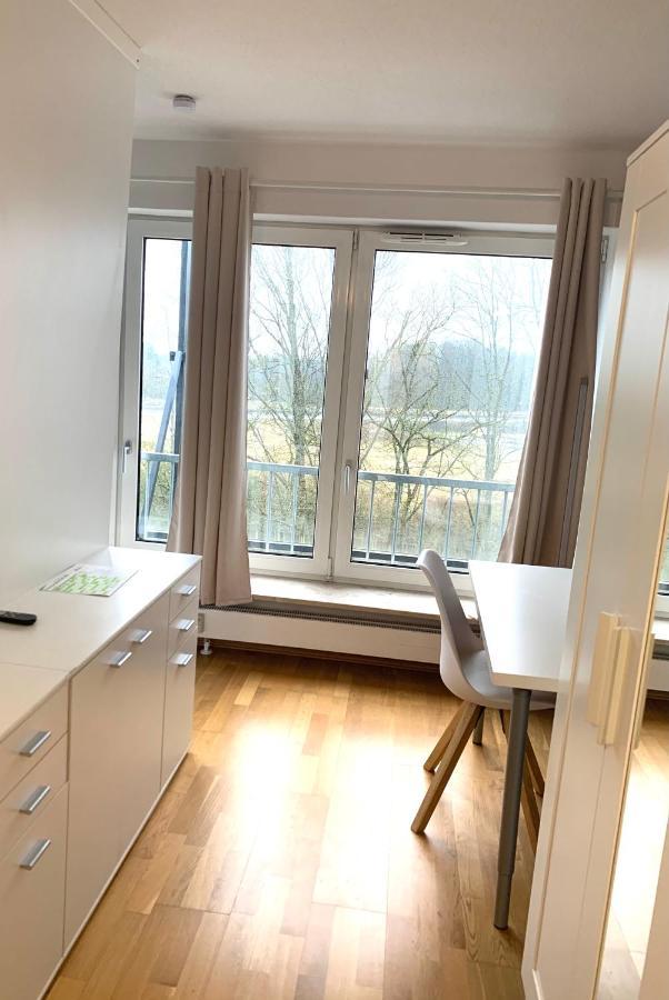 Beautiful Premium Apartment, Near University , Wifi , Free Parking 雷根斯堡 外观 照片